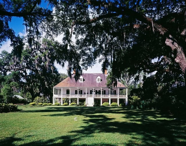 A cotton plantation.